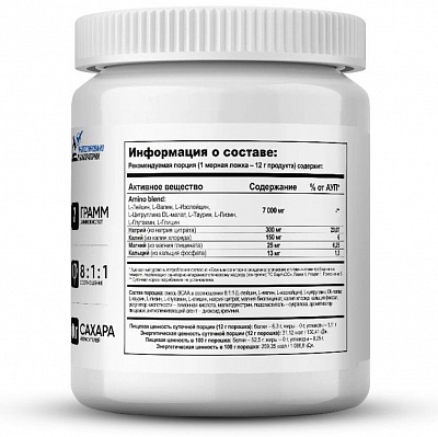 Аминокислоты «Modern BCAA+» 480 гр.