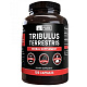 Бустер тестостерона «Tribulus Terrestris» 120 капс.
