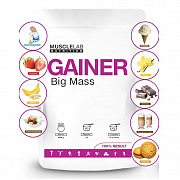 Гейнер белково-углеводный «Big Mass Gainer» пакет 1000 гр.